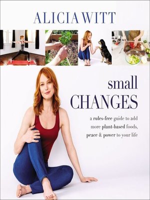 cover image of Small Changes
